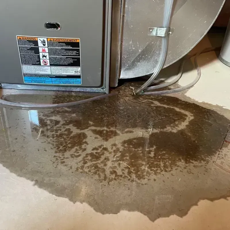 Appliance Leak Cleanup in Valinda, CA